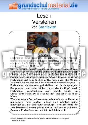 Farbmäuse - Sachtext.pdf